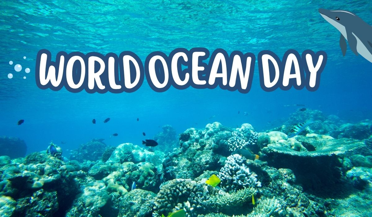 World Ocean Day: What It Is, Why It Matters & What You Can Do